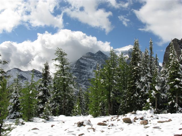 0290-Fairveiw Hike.JPG